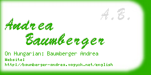 andrea baumberger business card